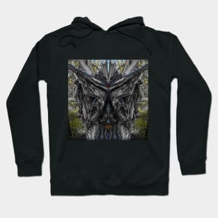 Underworld Shaman Hoodie